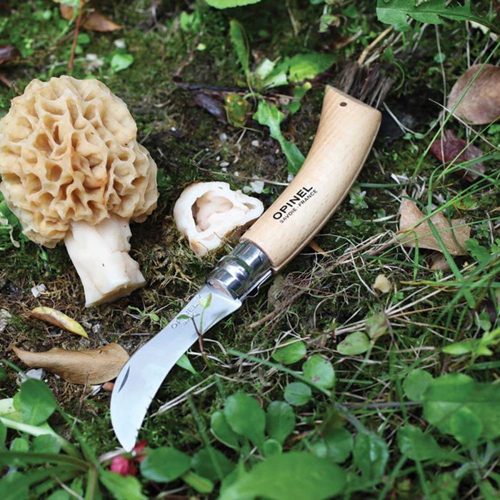 OPINEL нож за гъби ОПИНЕЛ N°08 Mushroom гъбарски нож с четка