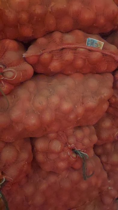 Лук оптом урожай 2025