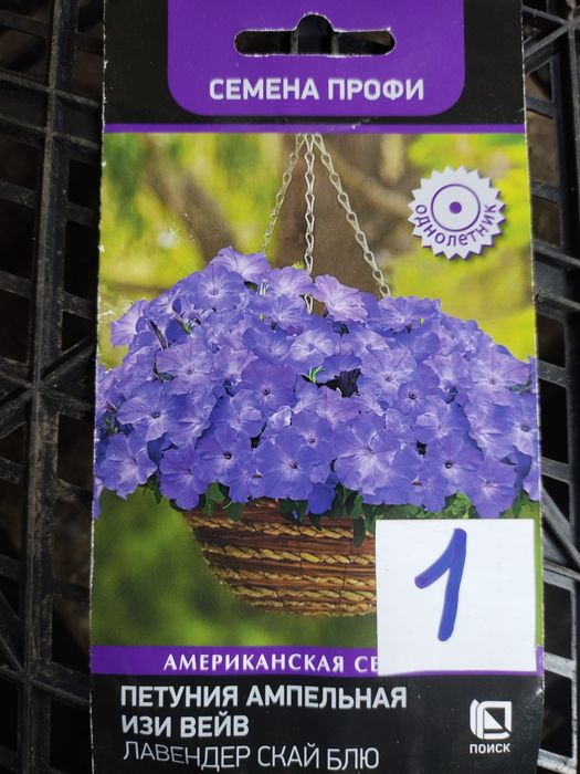 Продам рассаду ампельной петунии.