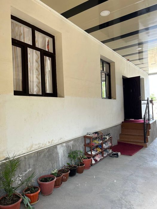 Срочна котта учскамиза сотуга чикти