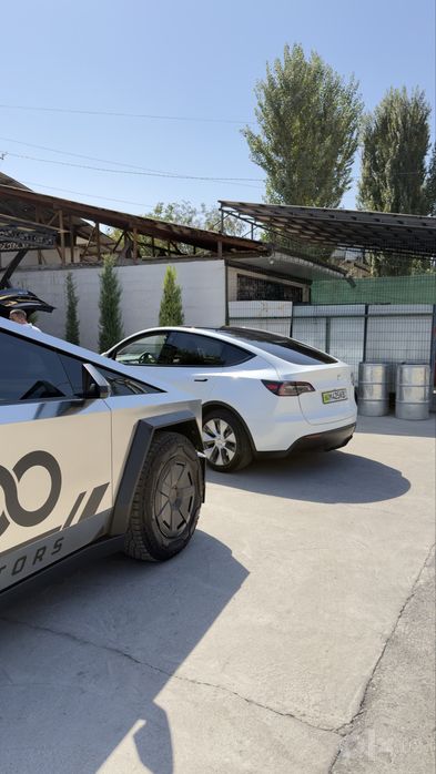 TESLA Model Y Standart 2024