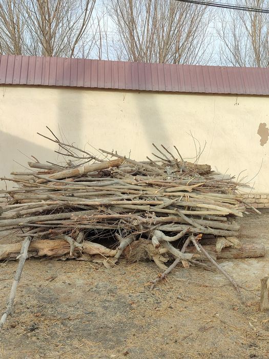 Srochni oʻtin sotiladi 1 mln