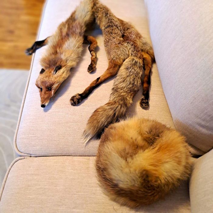 Яка и шапка от лисица