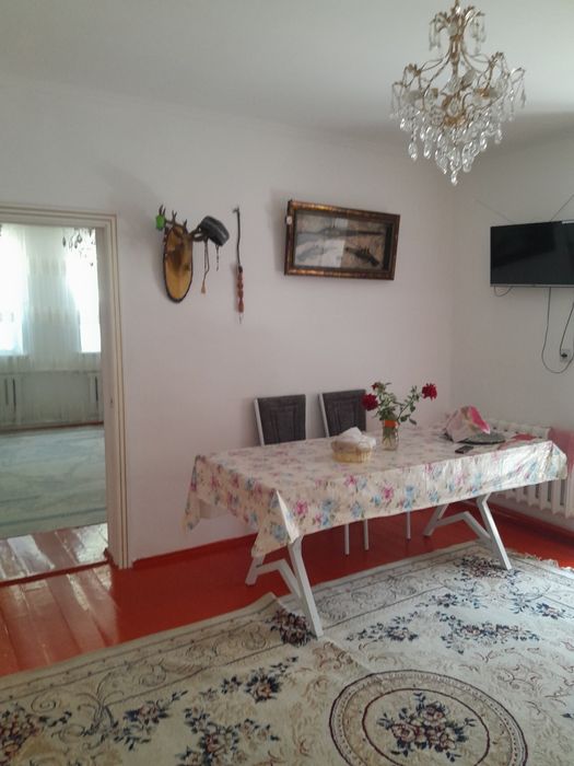 Дом Силикатный .