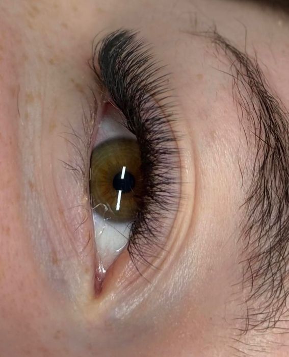 Extensii gene Baba Novac (Lidl)