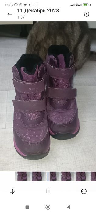 Сапоги Geox для девочек