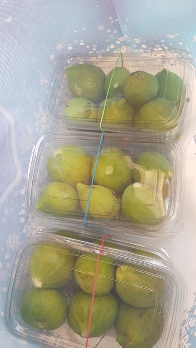 Smochine, borcane pentru legume
