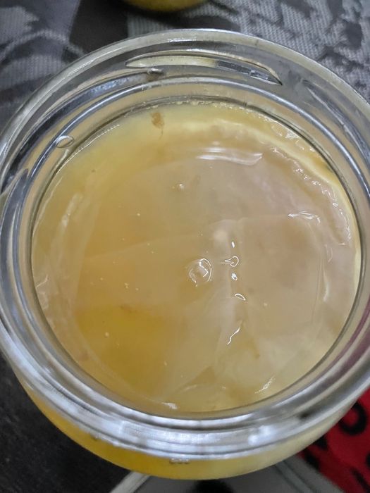 Kombucha ciupercă +starterul