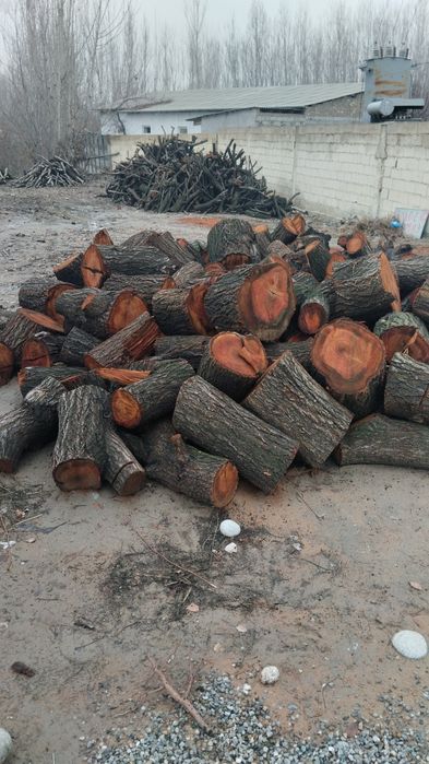 Утин Урик тайор бор