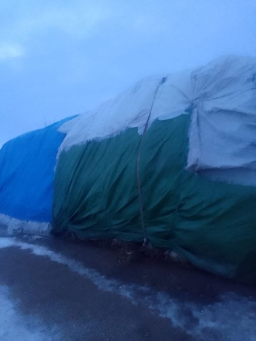 Vănd balotii de mături