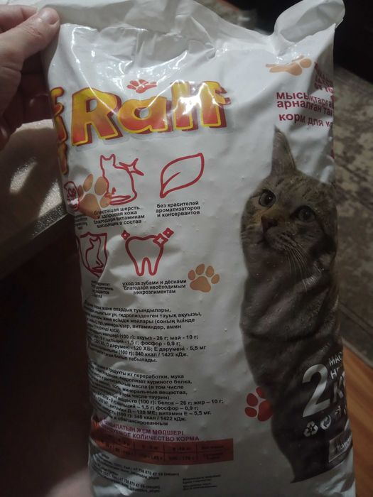 Кошачий     корм