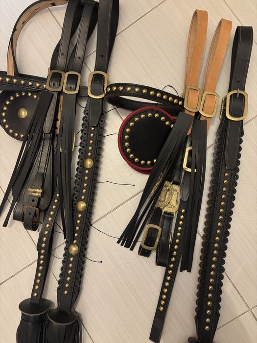 Hamuri cai. Capastru cal