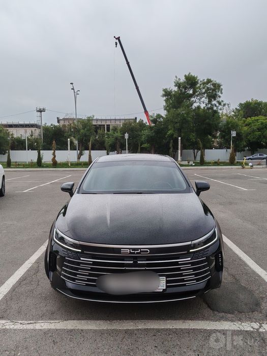 Byd chazor 55 km.