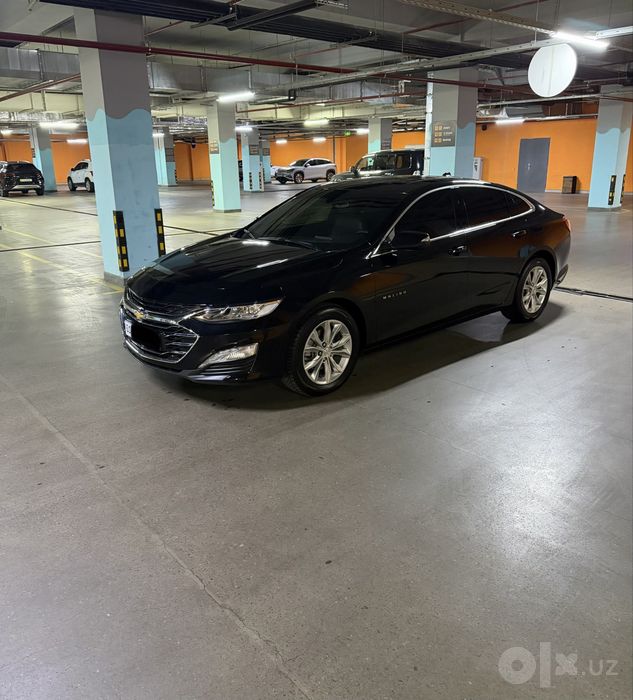 Malibu 2 Premier 2021