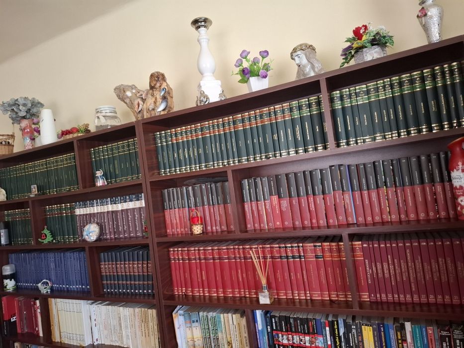 Bibliotecă-cărți