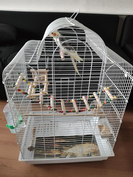 Клетка с папагал КОРЕЛА