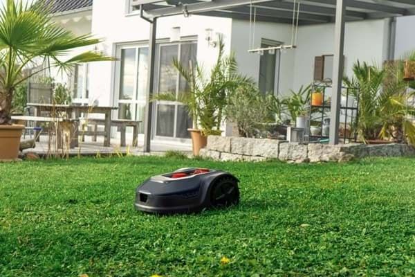 Robot de tuns gazon scheppach 600w