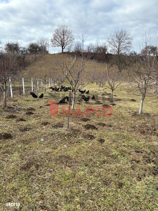 Teren intravilan 1.332mp, Prundu Bargaului