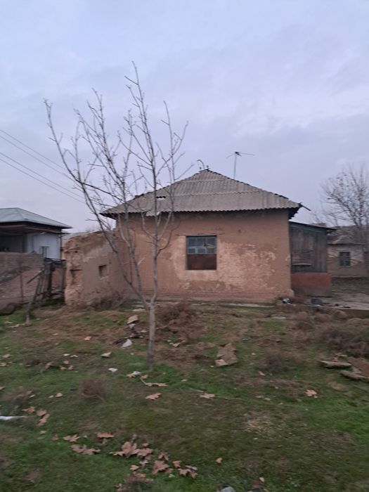 Пискэнт туманида ер сотилади