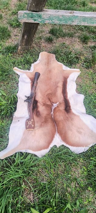 Blană trofeu pușcă panoplie