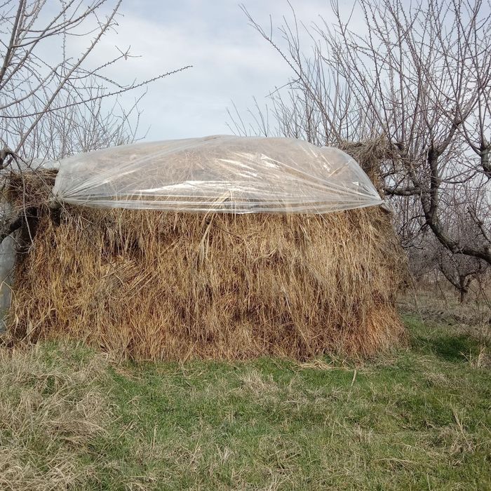 Пчан бор 2 тележка чикади