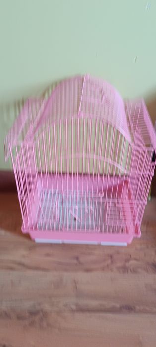 Продам Попугай карелла