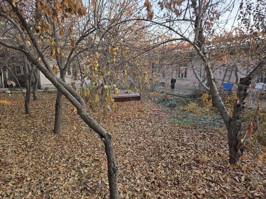 Дом аренда 4 ком