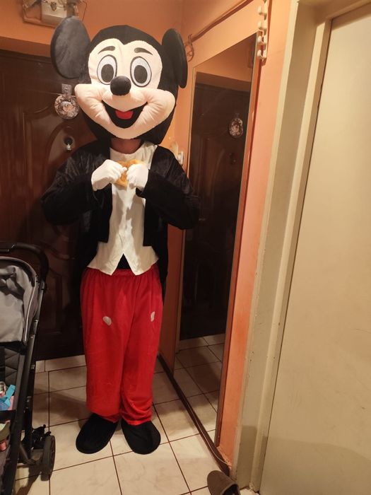 Vând costum de animator copii !!