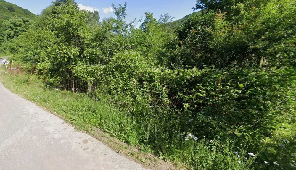 Vand teren intravilan 1264 mp. in Pecinisca, Baile Herculane