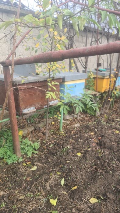 Vand lazi stupi 12 rame