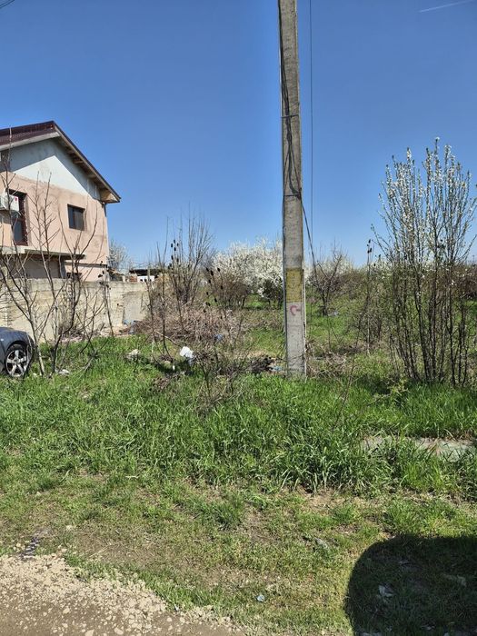 VANZARE teren Mogosoaia