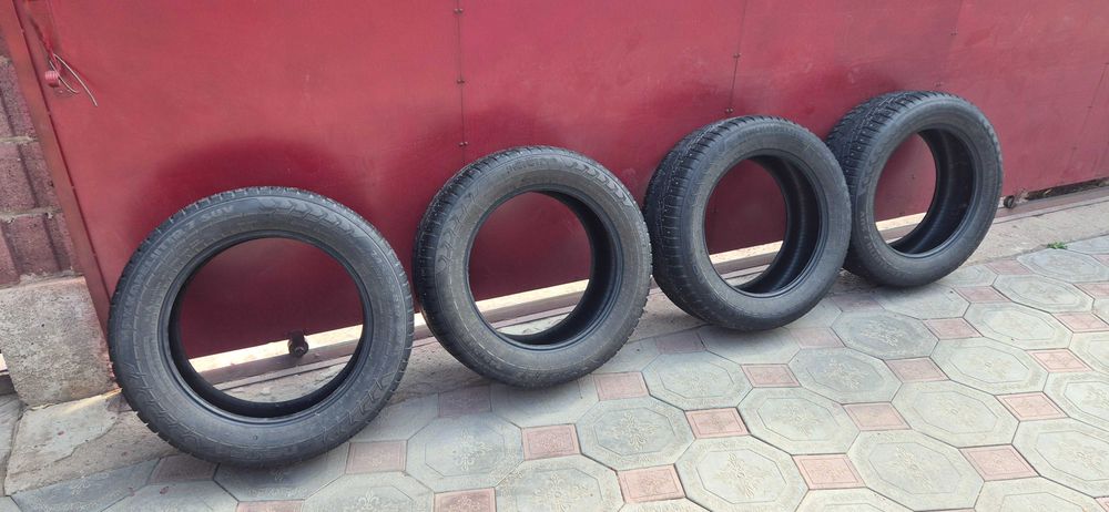 Зимние шины Nokian 245/55/19