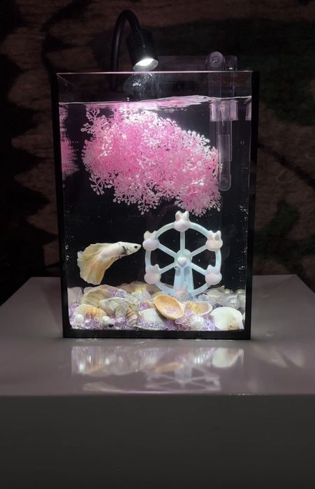 Аквариум +Декор+рыб+Фильтр +корм