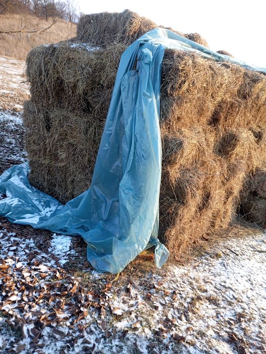 De vânzare baloți dreptunghiulari făcuți din fan