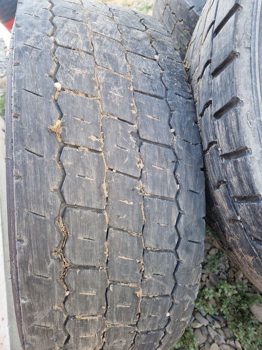 315/70 R 22,5 10 gauri