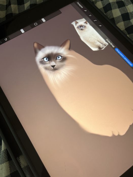 Уроки цифрового рисования(на iPad)