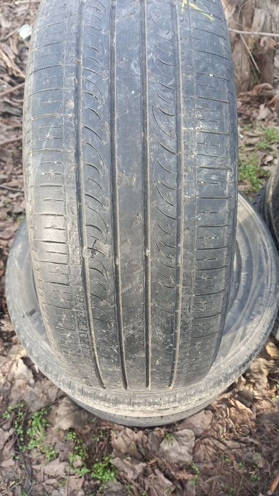 Bu balon bor xamma razmer bor