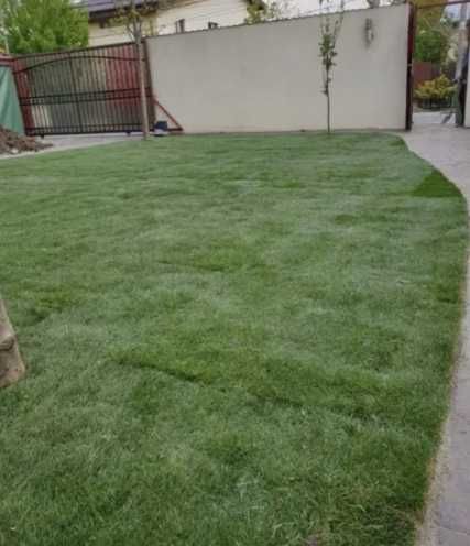 Gazonul Rulou Premium - Alegerea Perfectă pentru Grădina Ta!
