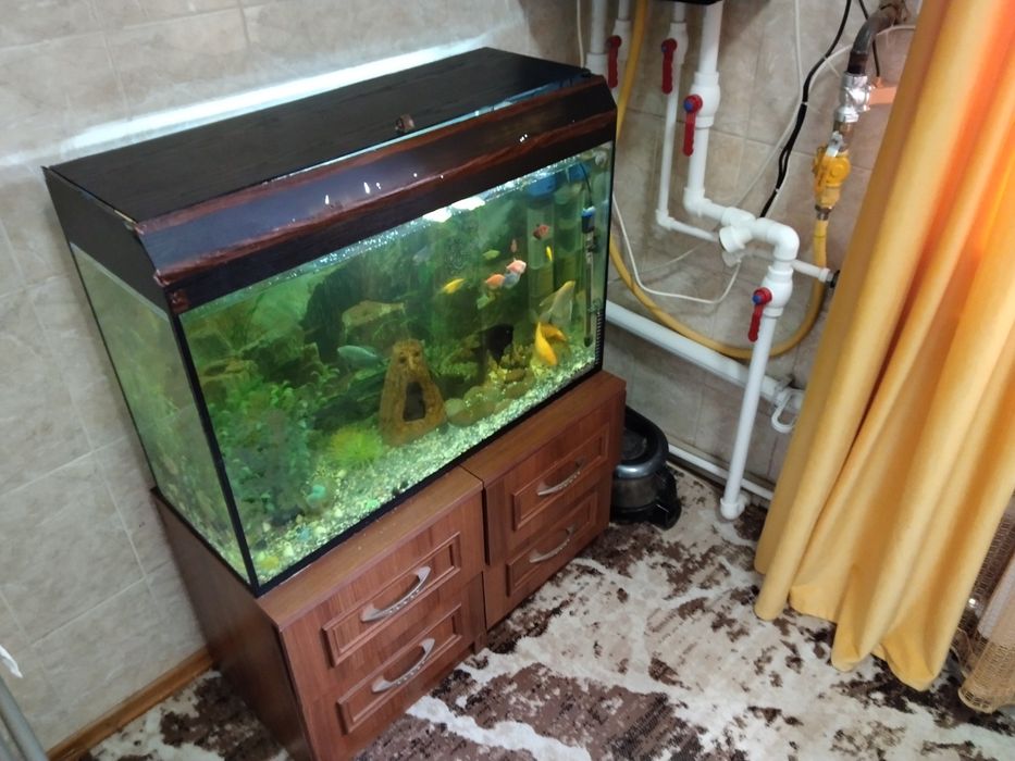 Аквариумистика, аквариум