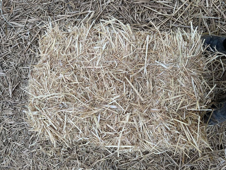 Саван пресс сатылады