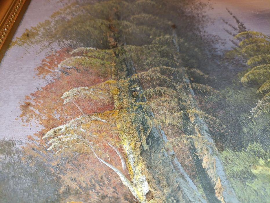 Tablou Pictat "Apus peste Lacul Ascuns" Anul 1998