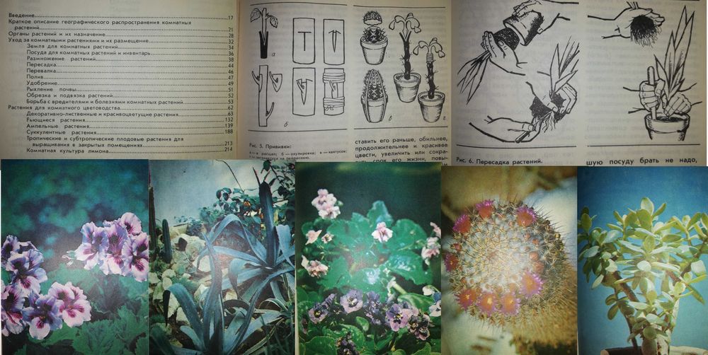 Книги : Грибы, Цветоводство, Ландшафтный дизайн, Садовый участок