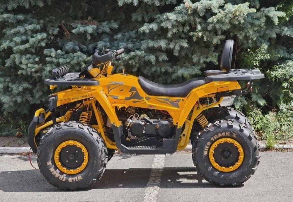 Квадроцикл Motoland 200 Wild Track X