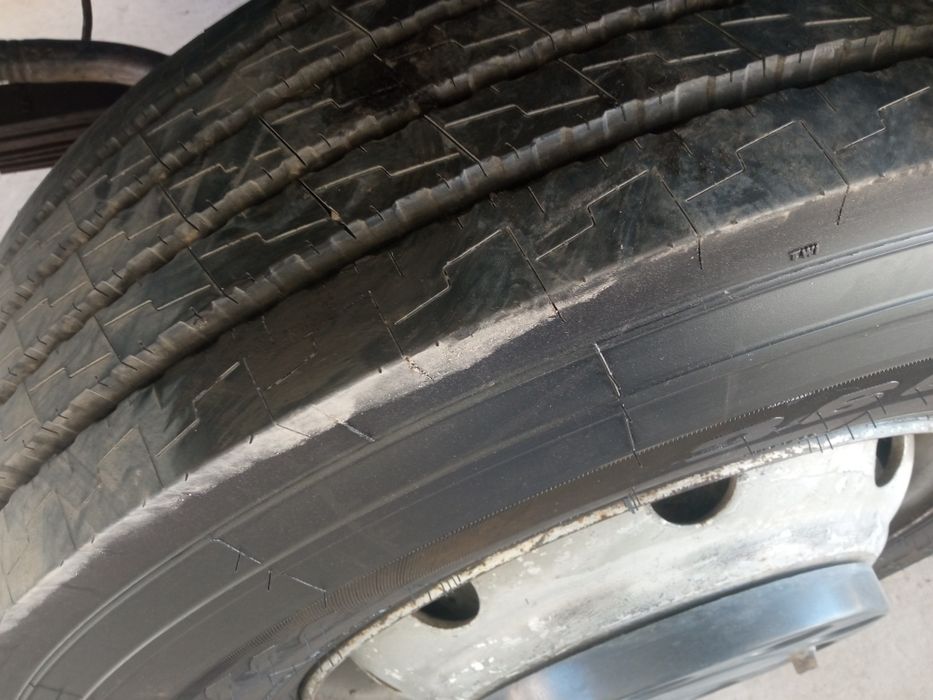 Zil bichok yili 2007