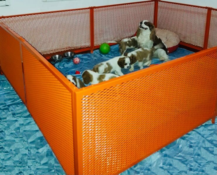 Вольеры для животных