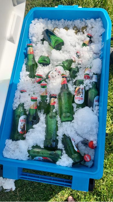 Lada frigo Igloo latitude 85