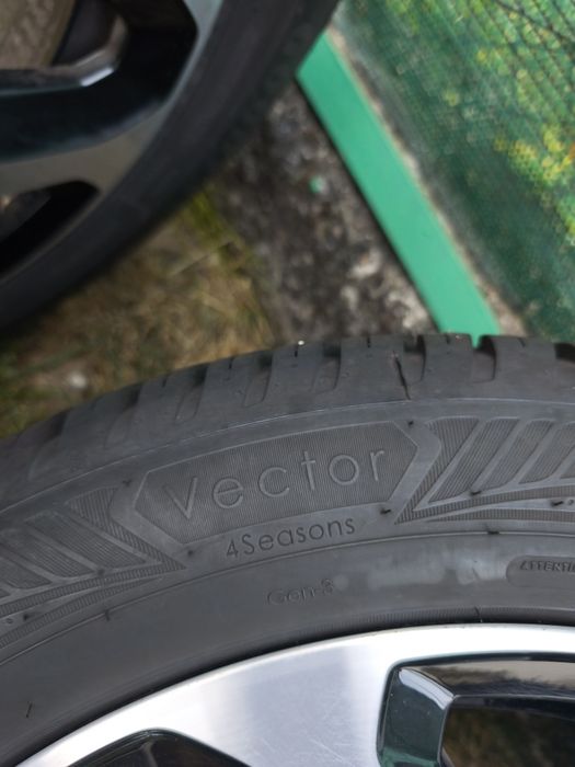 Всесезонни гуми Goodyear Vector 4 Seasons 205/55/17