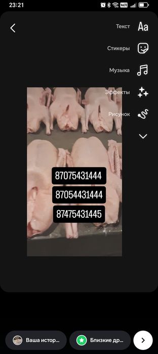 продам гуси дамашний сами вырощивали