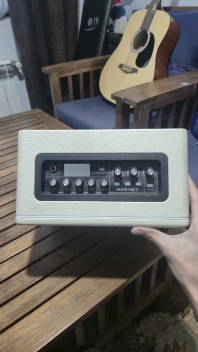 Mooer Hornet Modeling/BT Combo WH