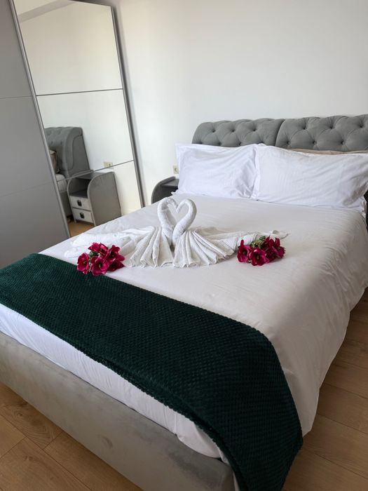 Apartament în regim hotelier Satu Mare